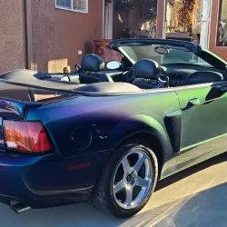 2004 Cobra Mustang Conc