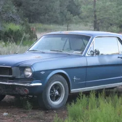 1966 Mustang Coupe